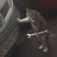 Photo de profil de El Gato Mechanics